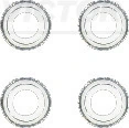 Seal Set, valve stem